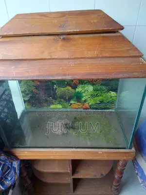 A Large Fish Aquarium
