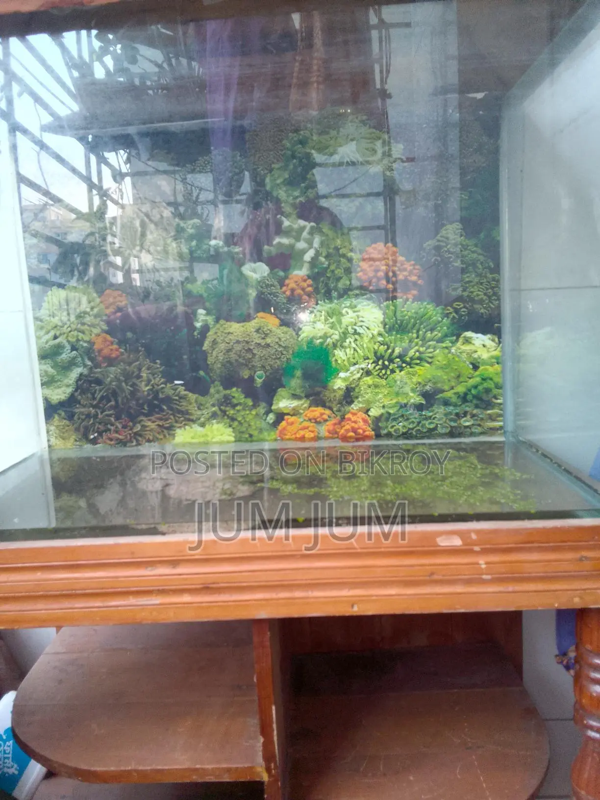 A Large Fish Aquarium