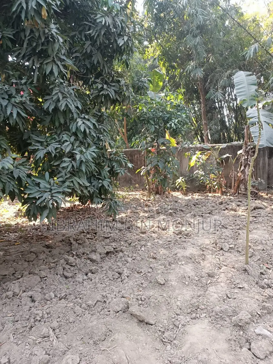 ৩ কাঠা জমি বিক্রয় হবে