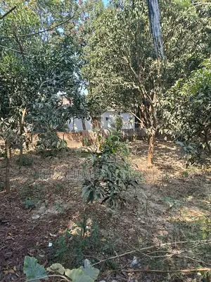 ৩ কাঠা জমি বিক্রয় হবে