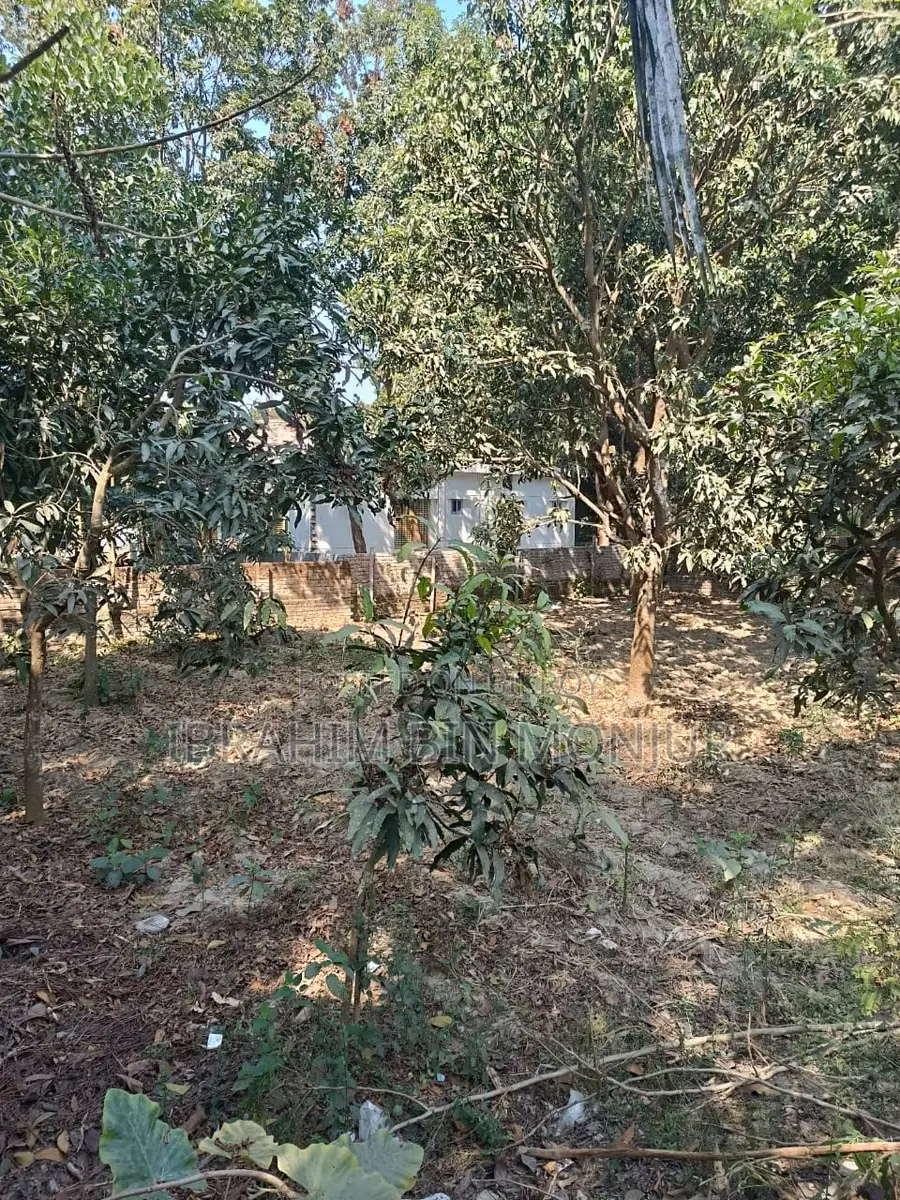 ৩ কাঠা জমি বিক্রয় হবে