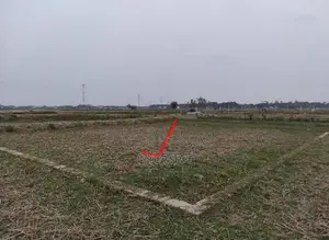 Buy genuine land directly from the owner