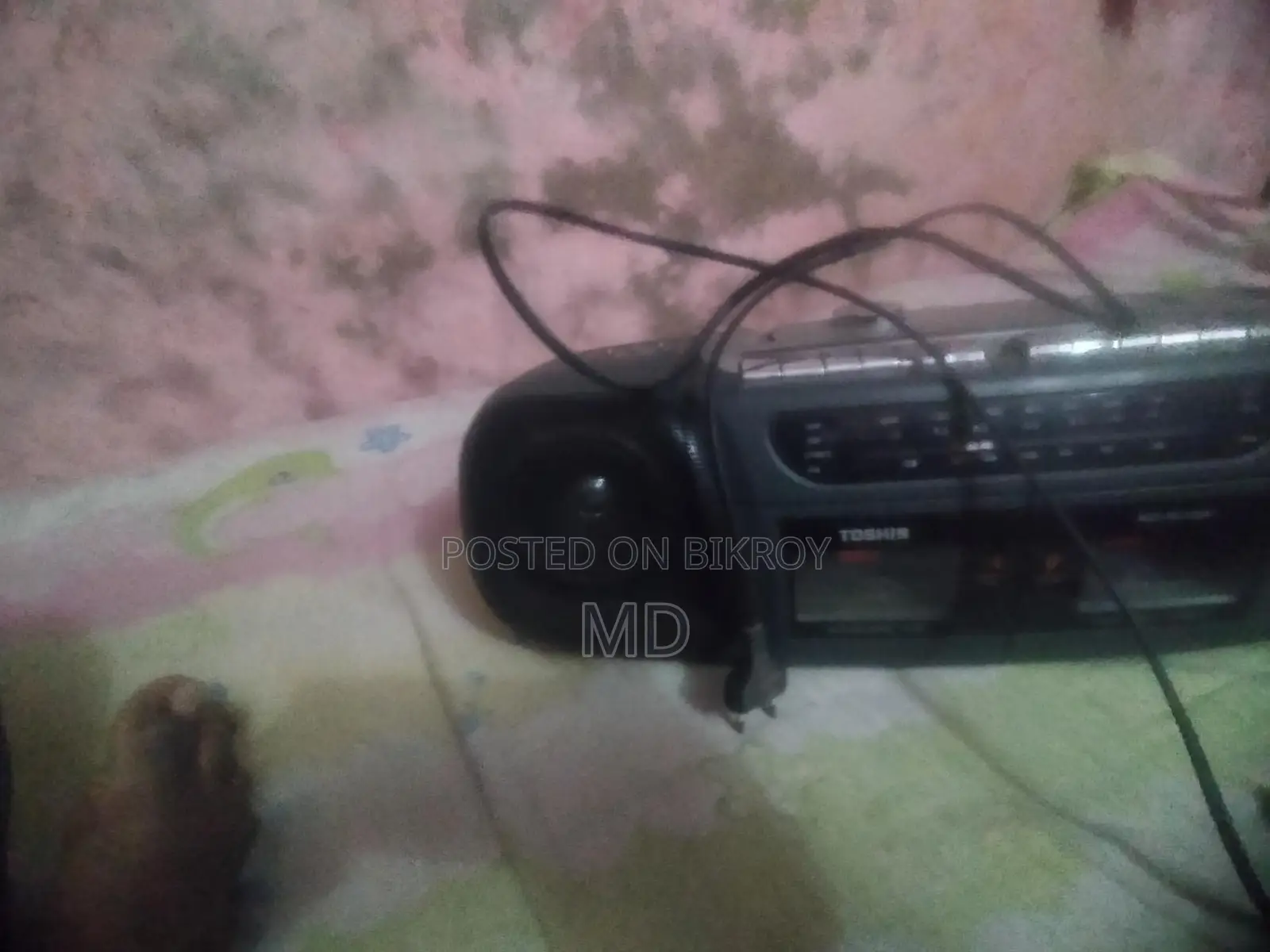 রেডিও