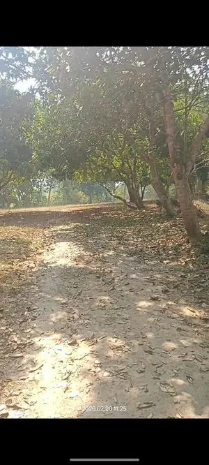 গ্র্যান্ড সুলতানের সামনে বিক্রয়ের জন্য প্রাইম লোকেশন মার্কেট