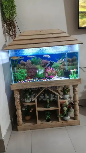 একুরিয়াম fish aquarium 3f/1.5f