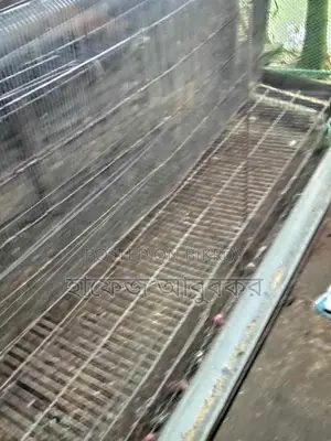 কোয়েল পাখির খাঁচা বিক্রি করা হবে