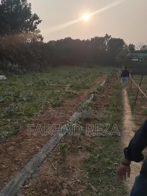8 Decimal Land for Sale in Savar