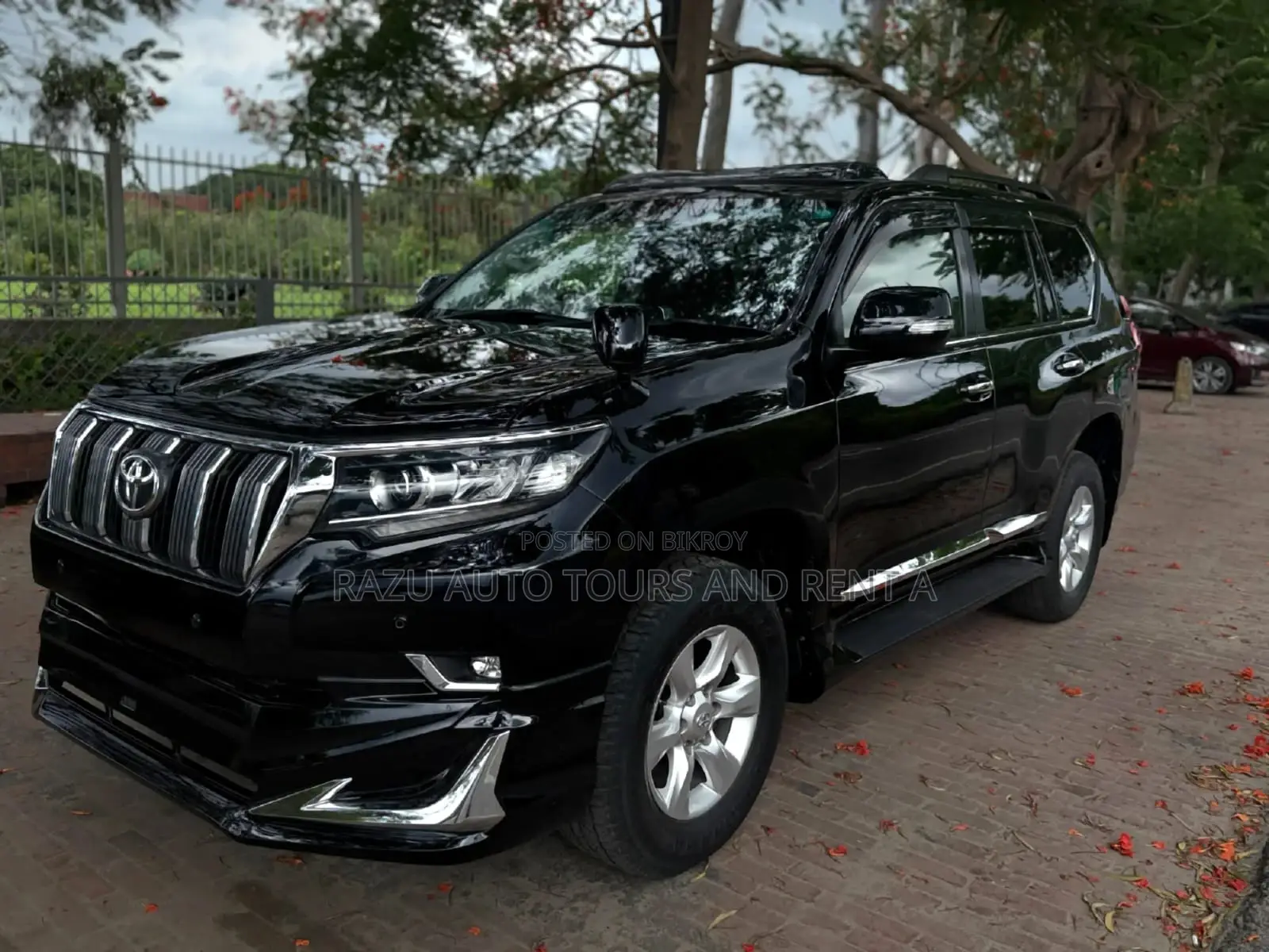 Prado For Rent
