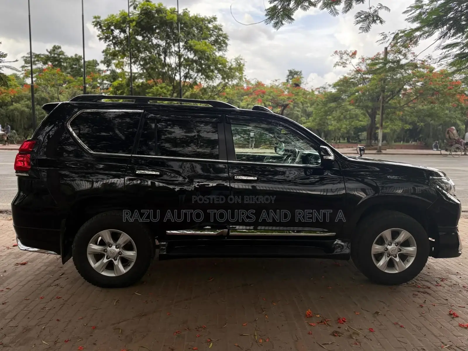 Prado For Rent