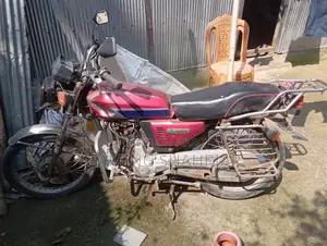 Dayang Runner AD100 ` 2000