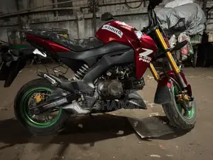 Kawasaki Z125 Pro . 2019