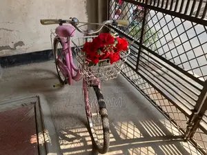 Pink Color Bicycle
