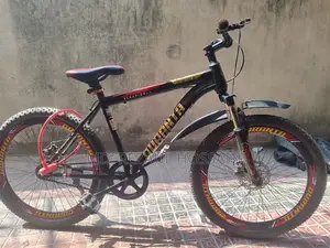 Duranta Kids Bicycle