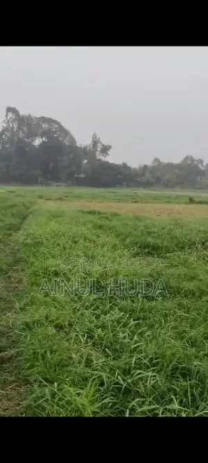Land for sale in Munshiganj