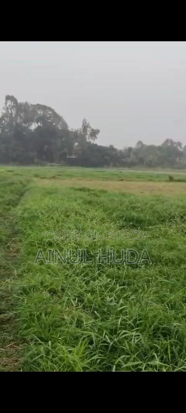 Land for sale in Munshiganj