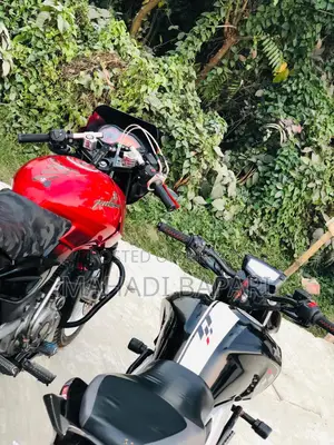 Bajaj Pulsar 150 (2013)