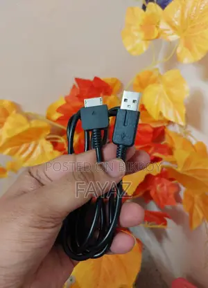 সনি পিএস ভিটা চার্জার
