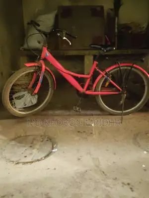 Duranta Bicycle For Sale
