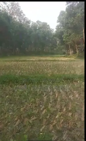 The land will be sold urgently!!!
