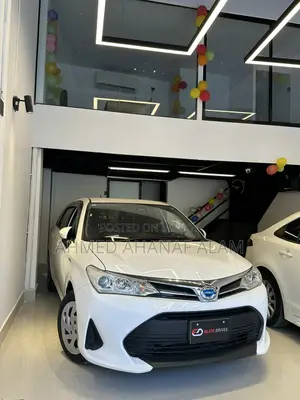 Toyota Fielder Ex 2020