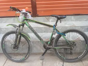 Phoenix Bicycle for Sale