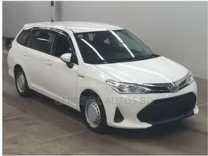 Toyota Fielder EX PACKAGE 2020