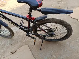 Phoenix Bicycle for sale
