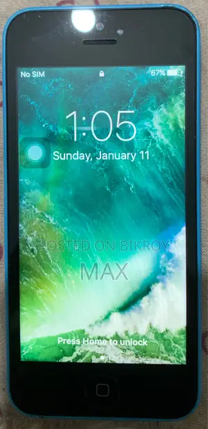 Apple iPhone 5C (Used)