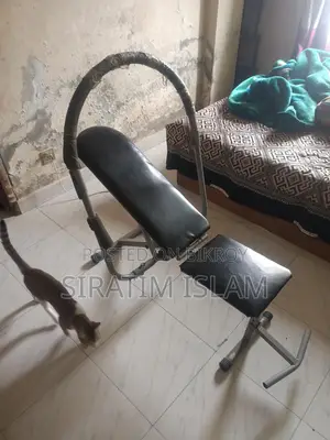 Ab King Pro জিম ইকুইপমেন্ট