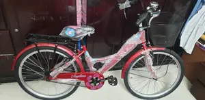 মেয়েদের বাইসাইকেল