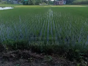 Clear Title Land, Owned via Saf Kabala.