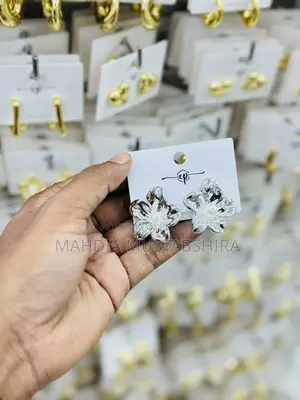 Get Beautiful Earrings at an Offer Price