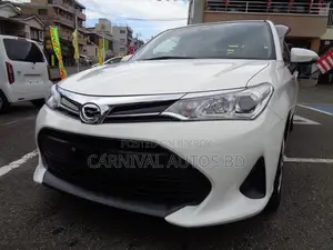 Toyota Axio EX PACKAGE 2020