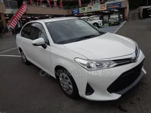 Toyota Axio EX PACKAGE 2020