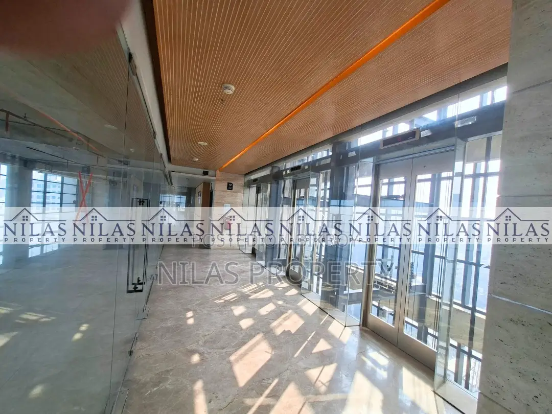 Commercial Space with Terrace Ready for Rent in Dhanmondi