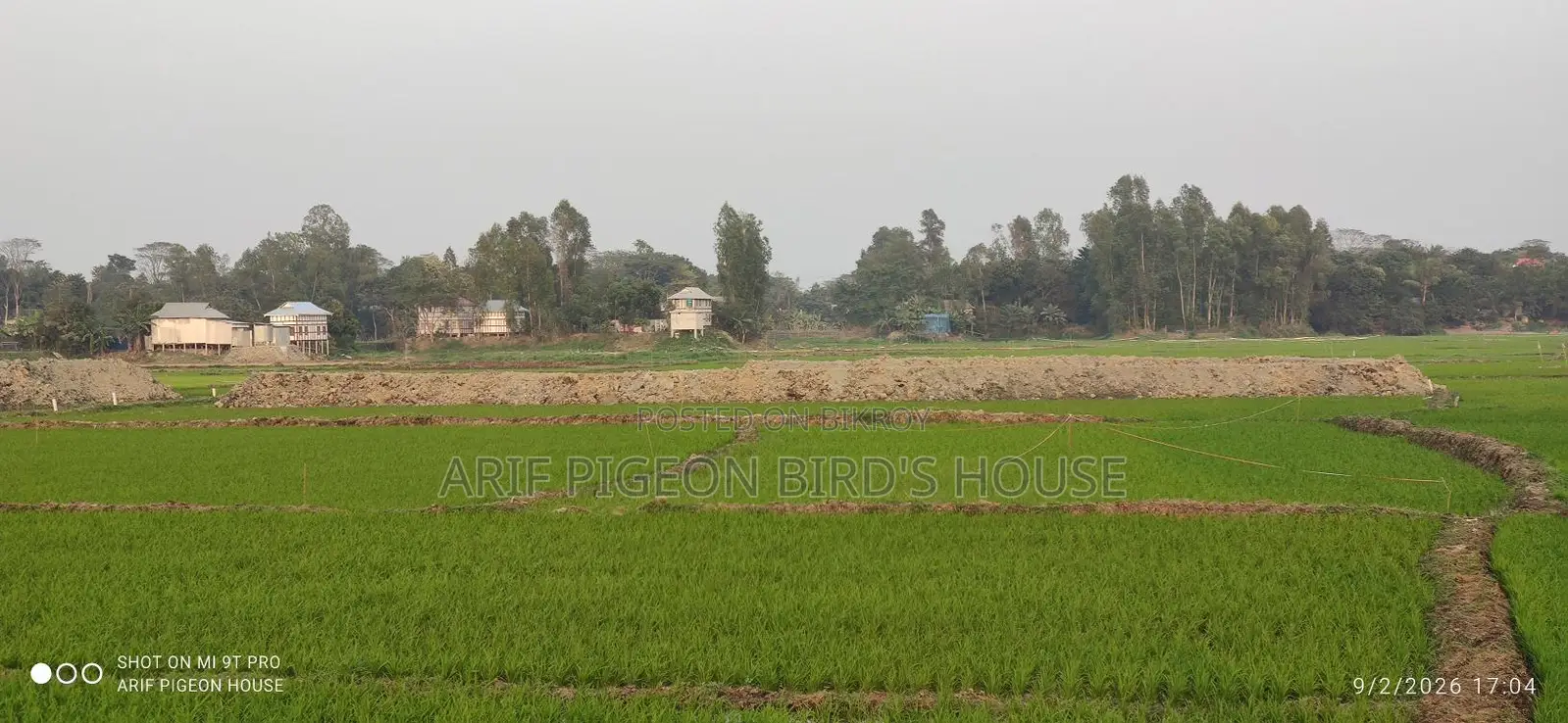২১.৫ শতাংশ জমি বিক্রি