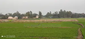 21.5 Decimal Land for Sale