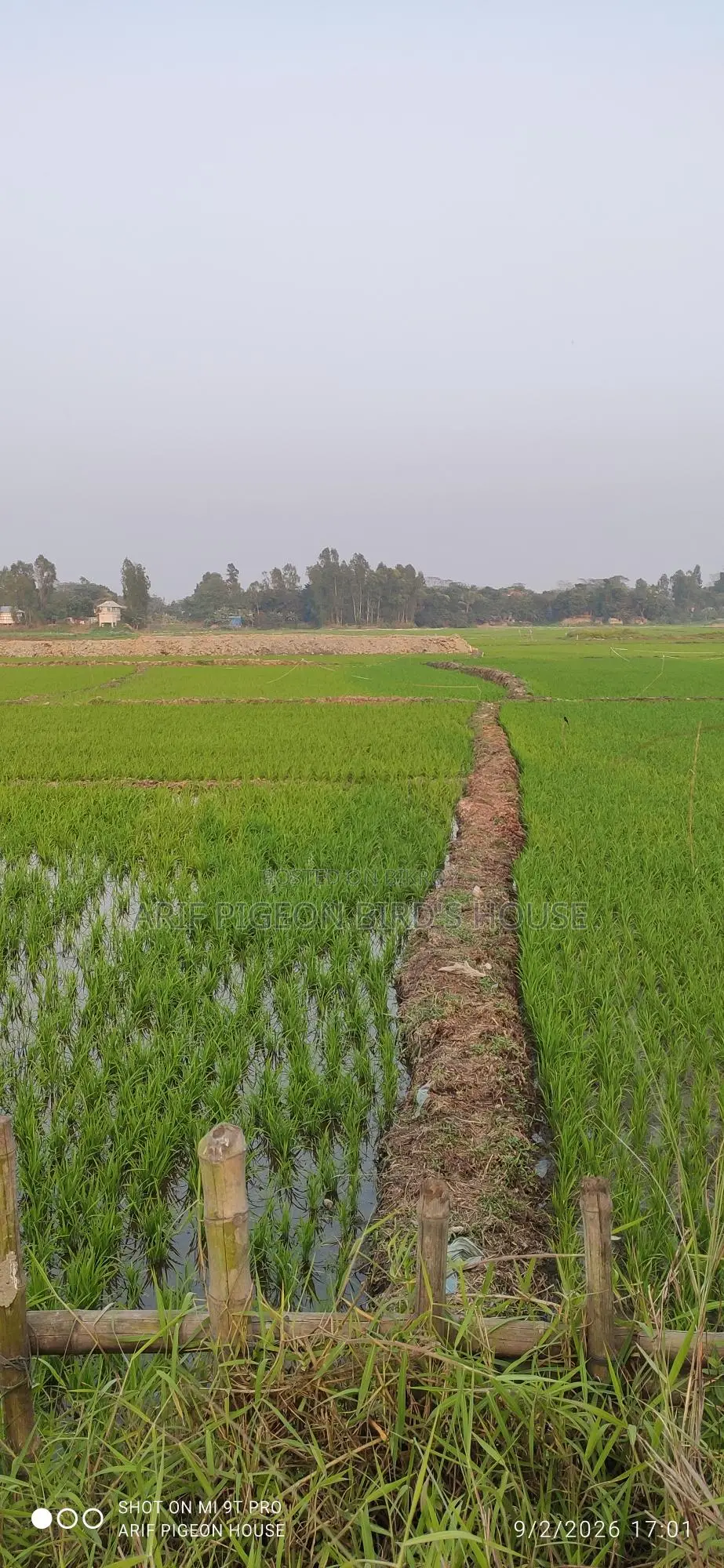২১.৫ শতাংশ জমি বিক্রি