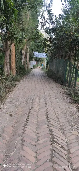 ২১.৫ শতাংশ জমি বিক্রি