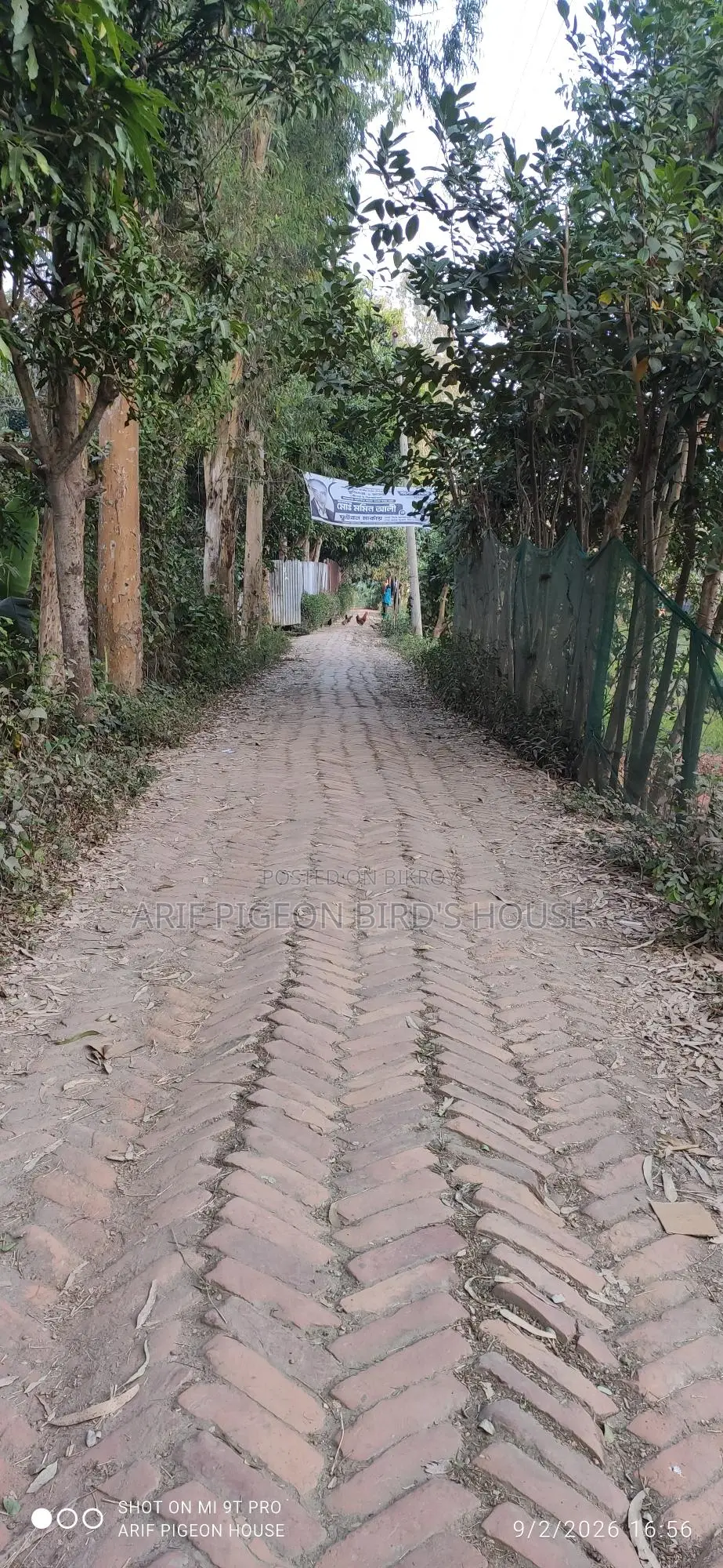 ২১.৫ শতাংশ জমি বিক্রি