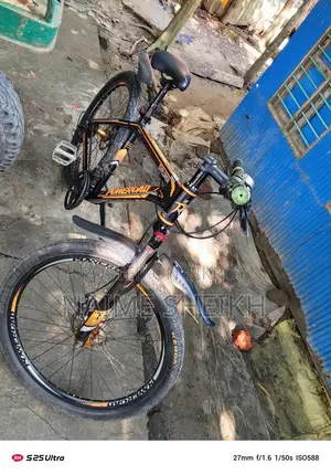 Adder Bicycle for Sale