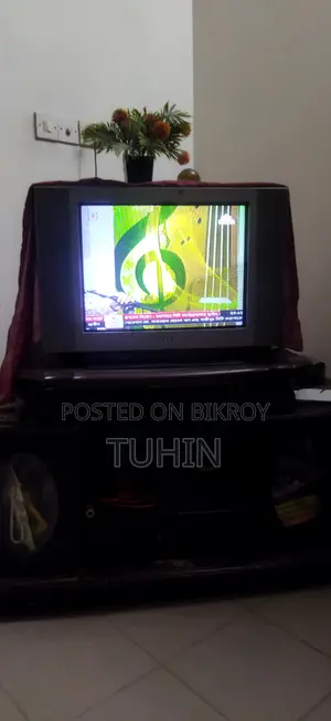 Sony 32" Flat TV