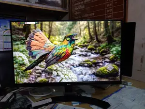 LG 22 Inch Borderless IPS Monitor (Hot Price)