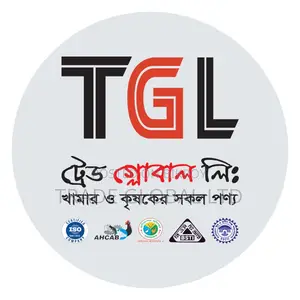Accountant Hire in Trade Global Limited