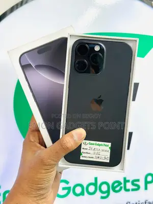 Apple iPhone 16 Pro Max 256 GB (Used)