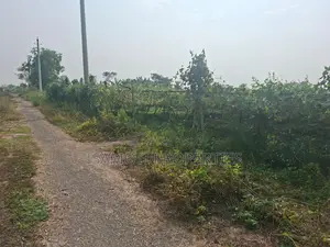 Affordable 5 Katha Plot For Sale At Purbachal