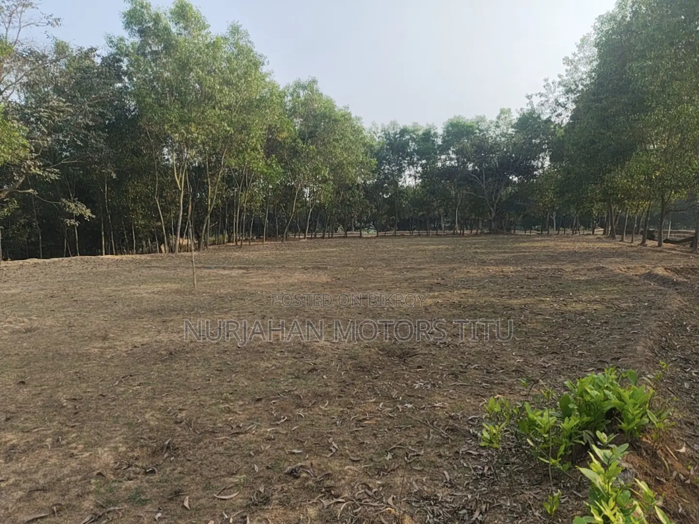 Land for Sale