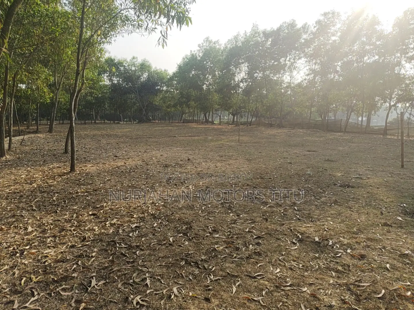 Land for Sale