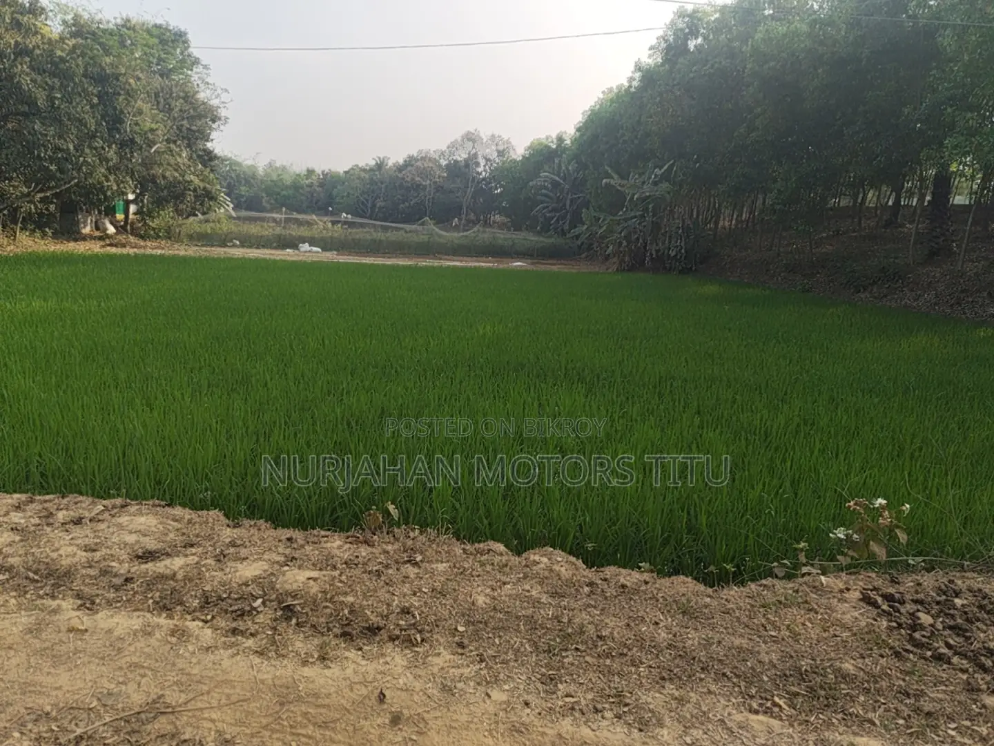 Land for Sale