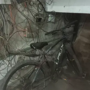 Gear Bicycle